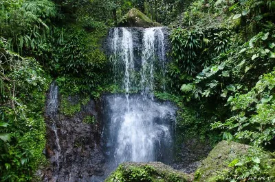 La cascade du Saut des Trois Cornes, double chute d’eau dans la forêt tropicale