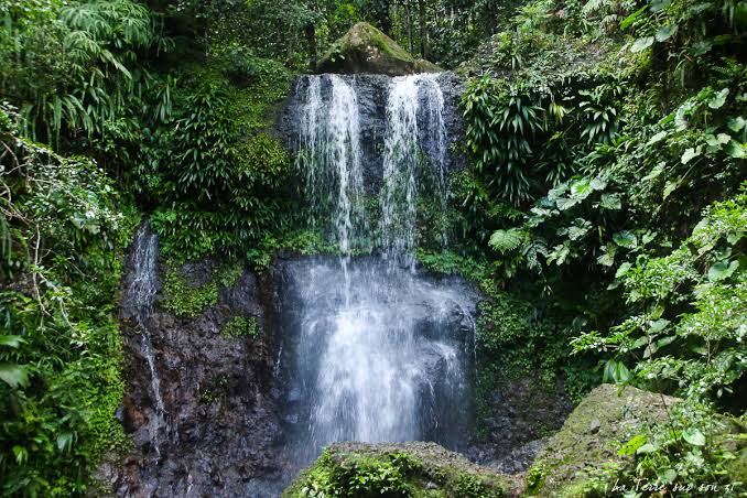 La cascade du Saut des Trois Cornes, double chute d’eau dans la forêt tropicale