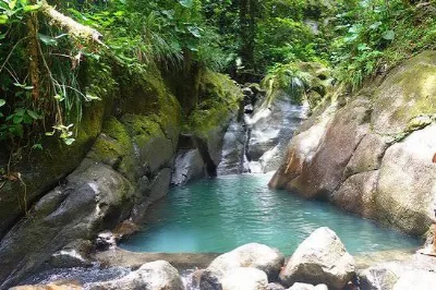 Le bassin turquoise des chutes de Moreau, entouré de roches moussues
