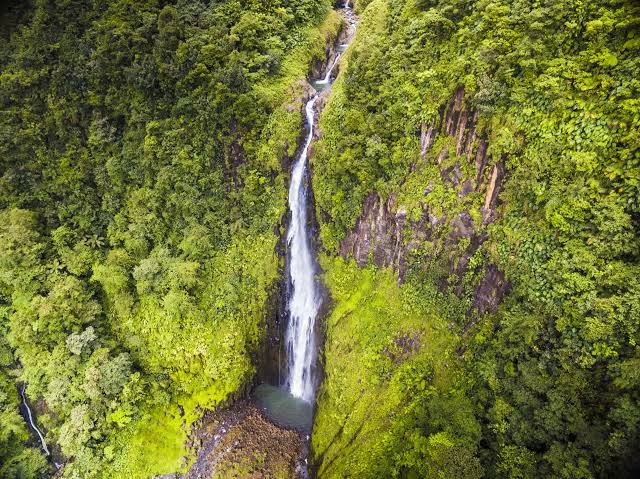 Les chutes du Carbet vues du ciel, longue chute dévalant la forêt