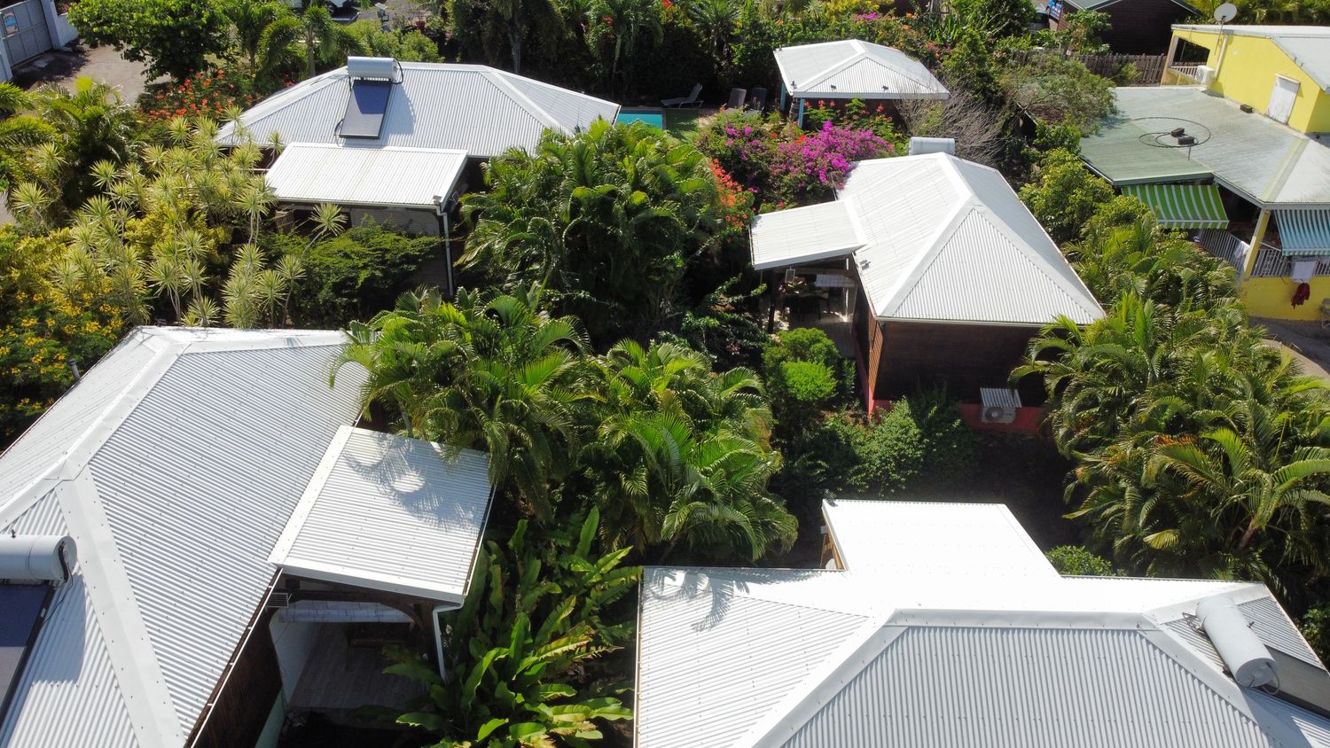 Vue aérienne des toits des cottages d'Amour Deshaies au milieu des palmiers, dans le quartier de Grande Anse