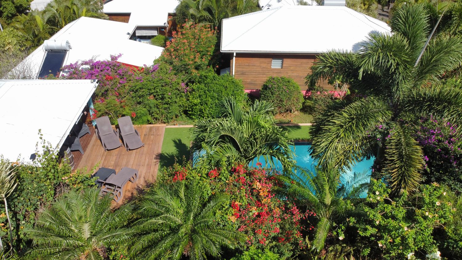 Vue aérienne du jardin tropical et de la piscine partagée