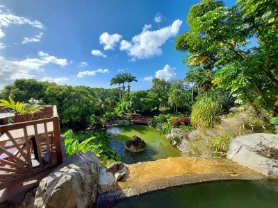 Bassins, passerelle de bois et plantes tropicales du Jardin botanique de Deshaies