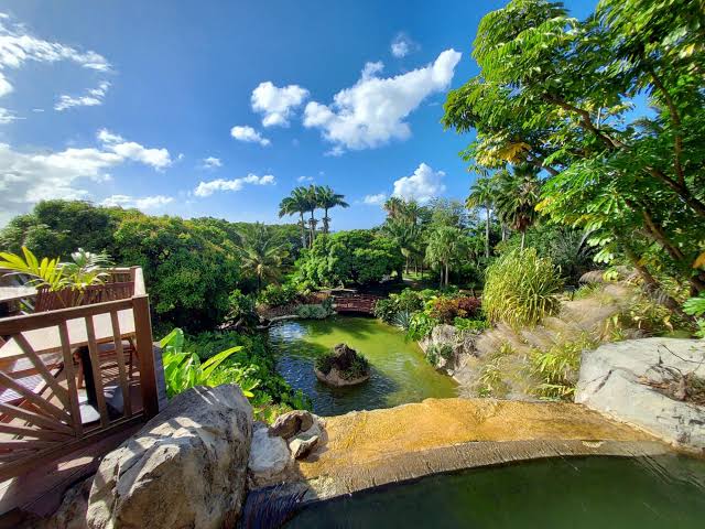 Bassins, passerelle de bois et plantes tropicales du Jardin botanique de Deshaies