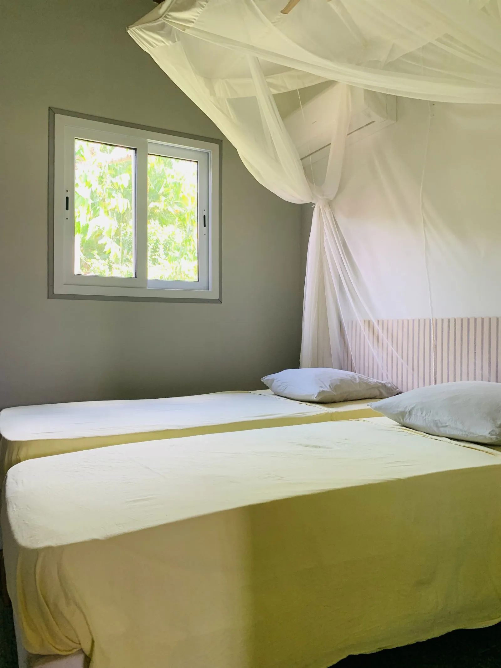 Chambre claire avec lits sous moustiquaire et fenêtre ouvrant sur le jardin