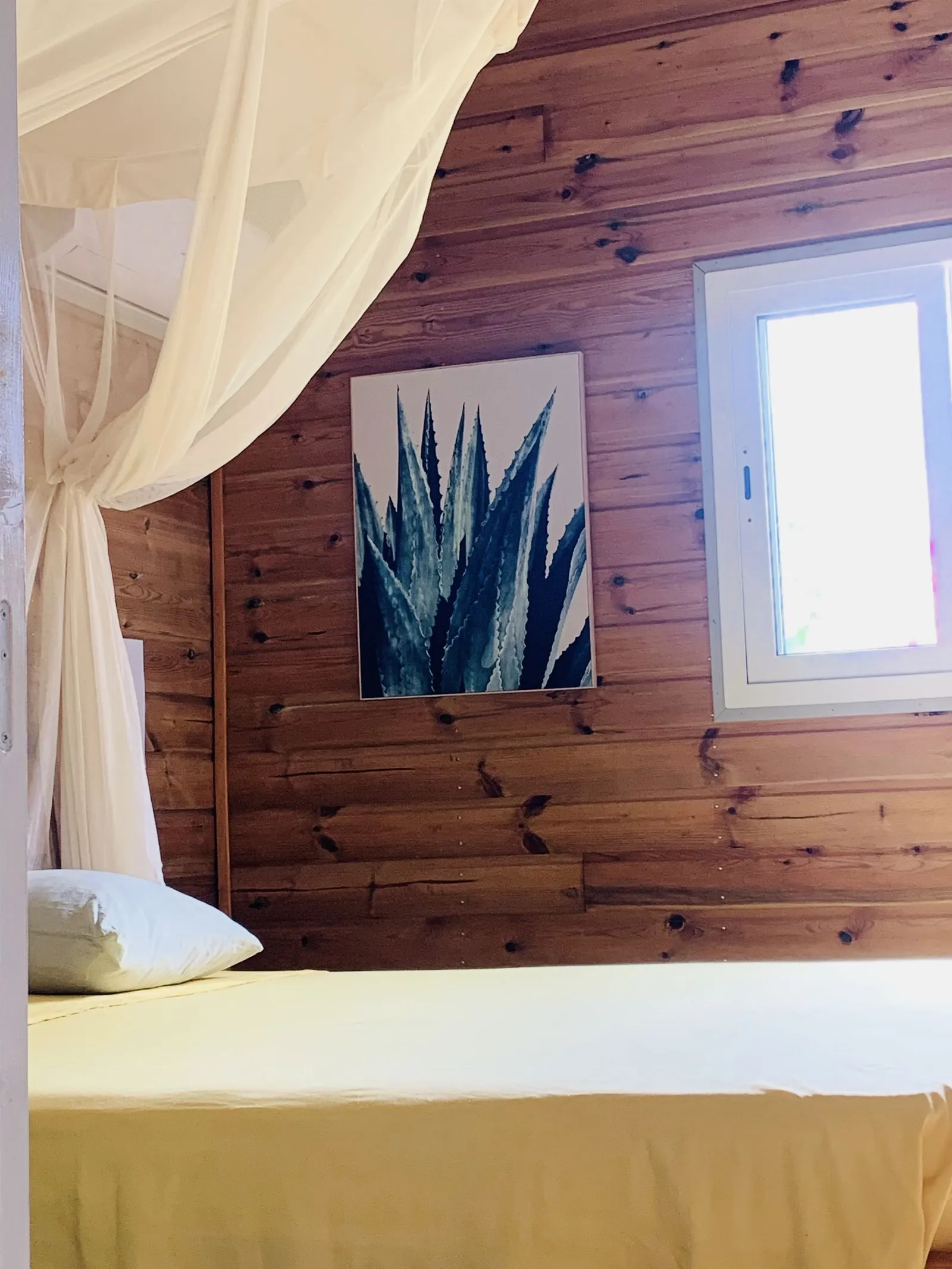 Chambre lambrissée avec tableau d’agave, lit sous moustiquaire et fenêtre