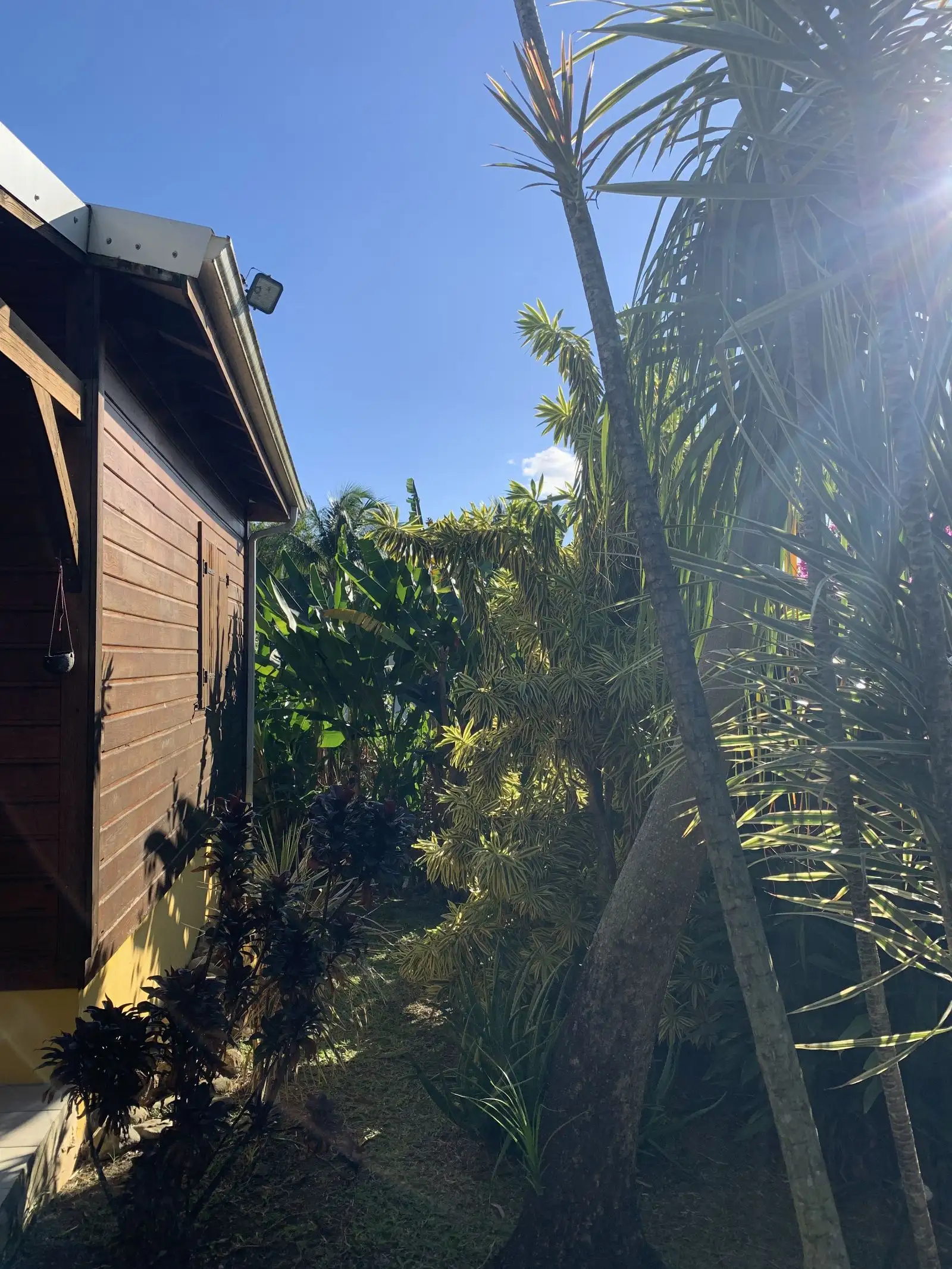 La façade en bois de la villa vue du jardin, sous les palmiers et les bananiers