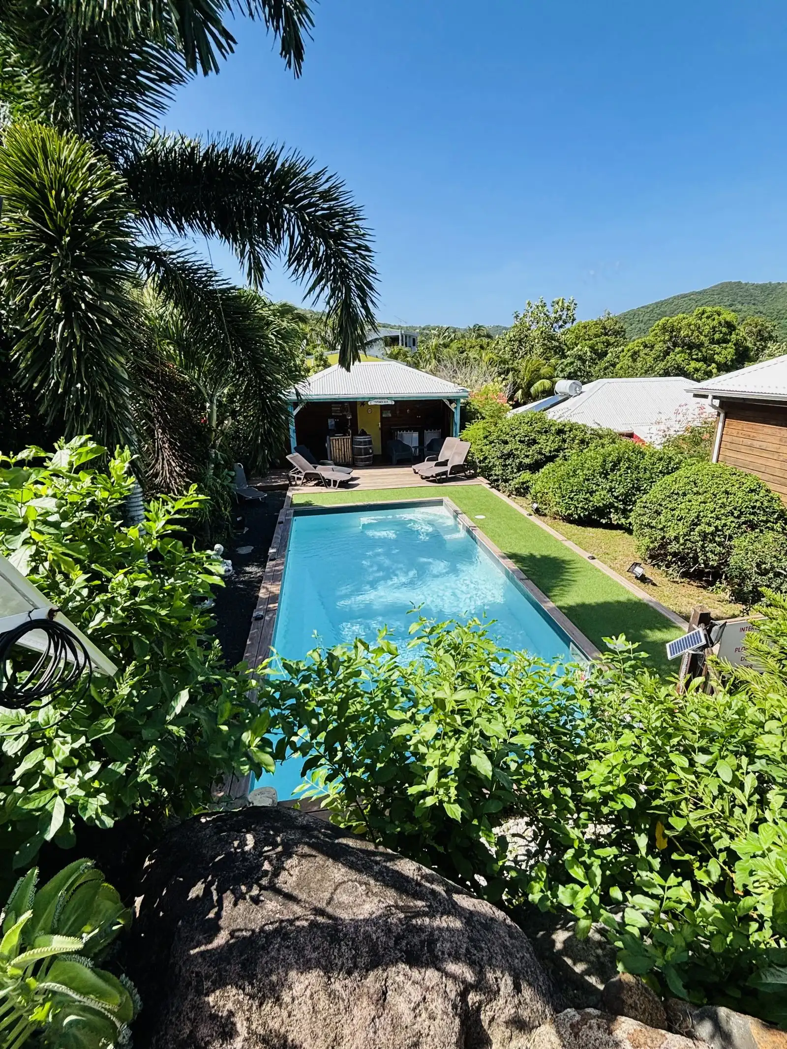La piscine bleue entourée de gazon et de végétation tropicale, avec les cottages au fond