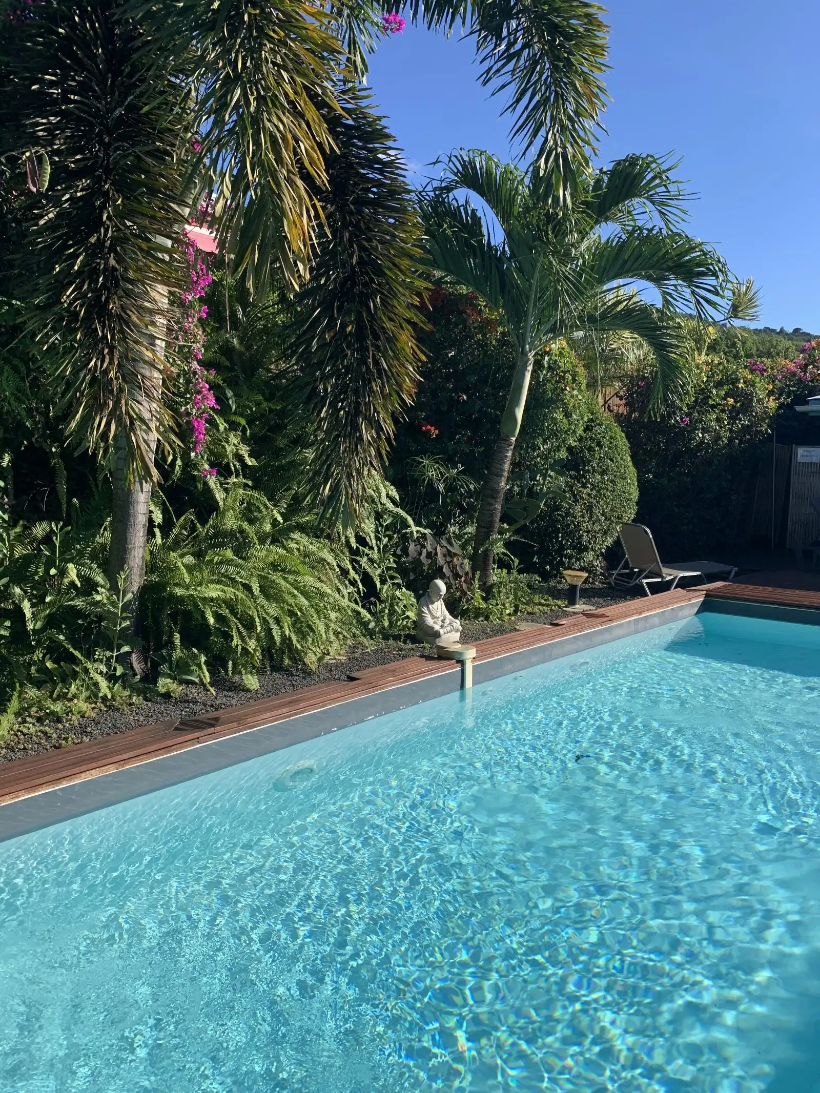 Le bord de la piscine au soleil, bordé de palmiers et de bougainvilliers roses