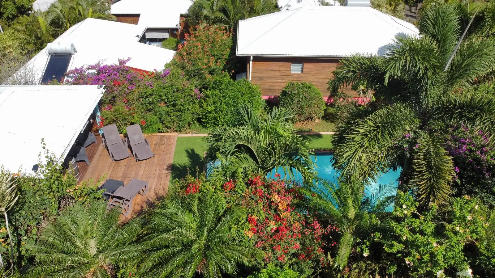 Vue aérienne du jardin : la piscine, les transats en bois et les toits des cottages dans la végétation