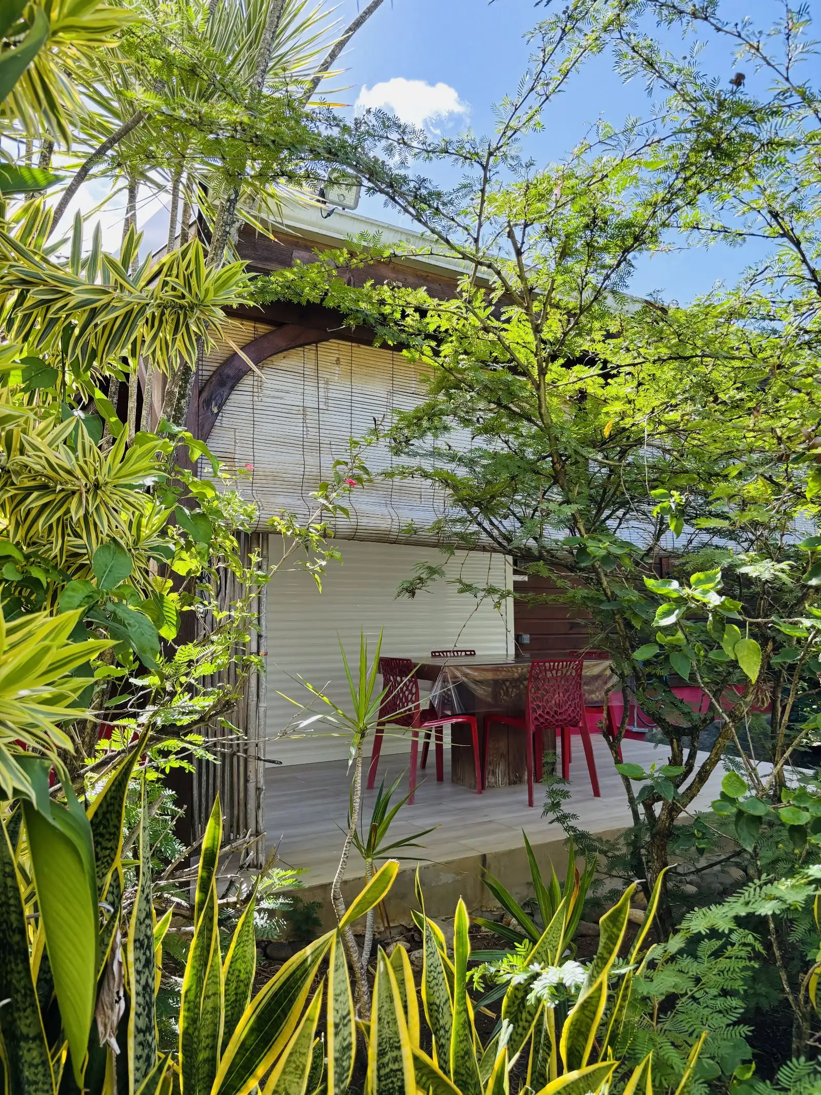Un cottage aperçu à travers la végétation, sa terrasse meublée de chaises rouges