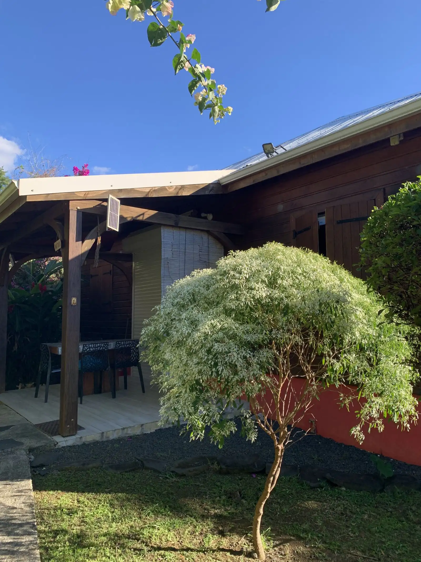 L’auvent d’un cottage et son coin repas, derrière un arbuste taillé en boule