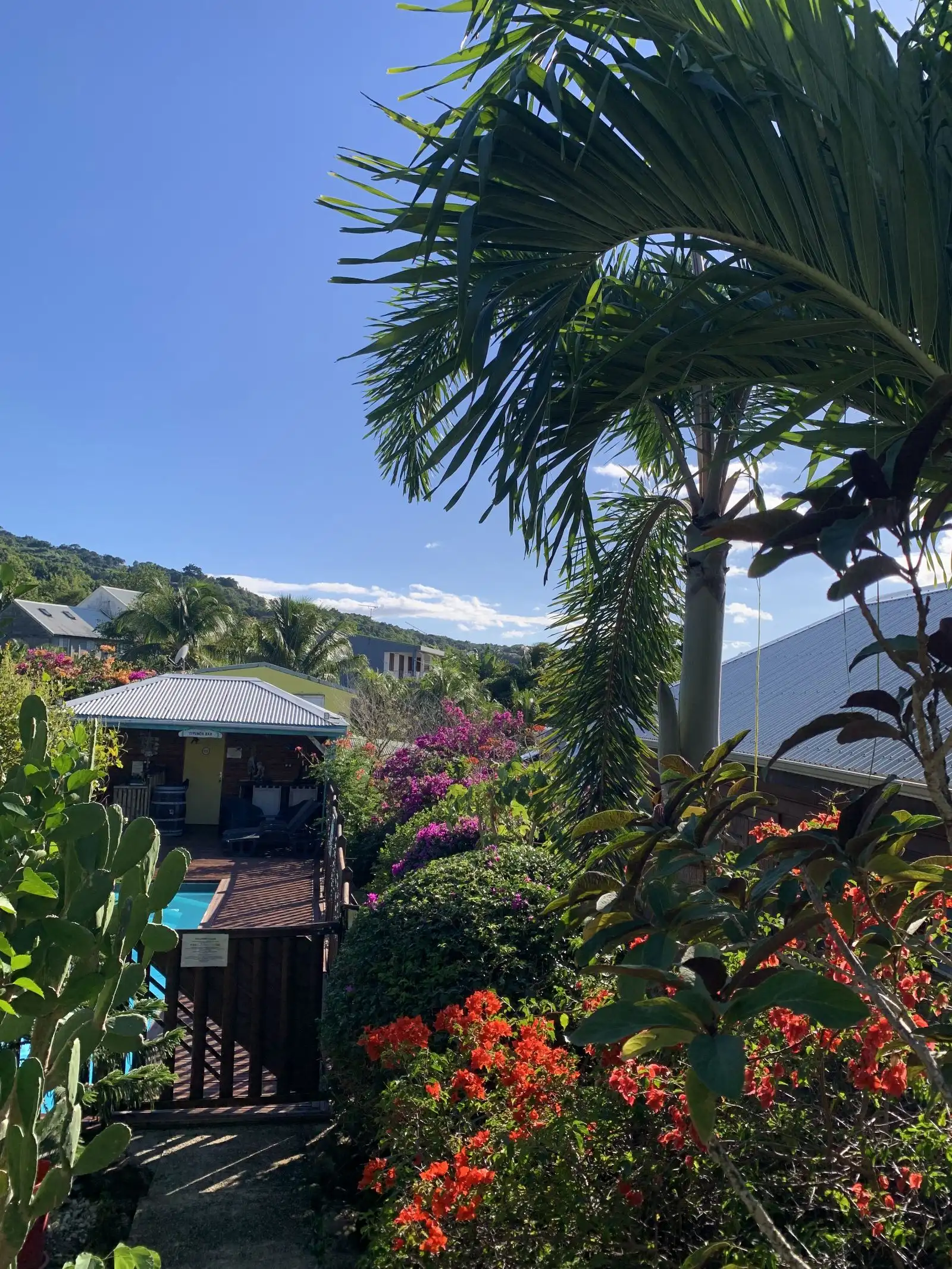 Le jardin en pente vers la piscine, avec les collines de Deshaies à l’horizon