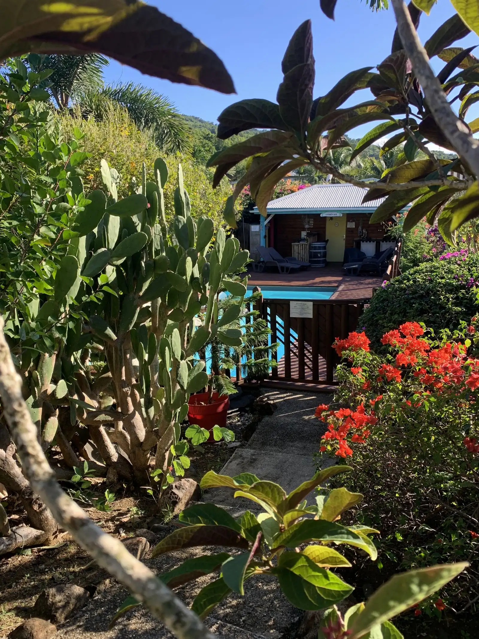 Un cottage aperçu depuis le jardin, derrière des cactus et des fleurs rouges